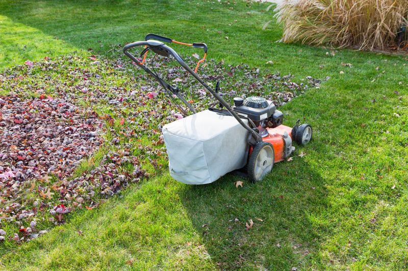 Fall Lawn Care Tools